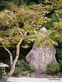 紅葉谷公園 - 紅葉谷公園の紅葉