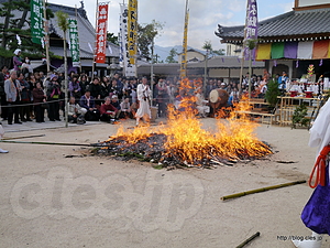 少しずつ炎が収まってくる - 亀居山 放光院 大願寺の火渡り式