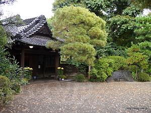 正面玄関 - 旧茂木佐平治邸（市民会館）＆郷土博物館