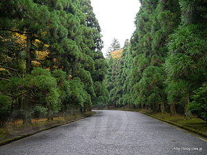 表参道 - 武蔵陵墓地と紅葉