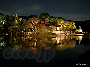玉藻の磯付近から中の島 - 六義園、紅葉と大名庭園のライトアップ 2012 に行ってきた