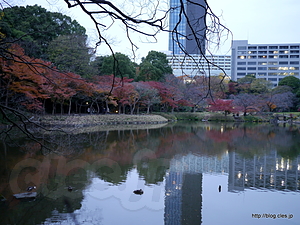 竹生島からの紅葉林 - 小石川後楽園で紅葉狩り