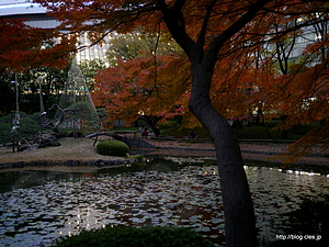 内庭 - 小石川後楽園で紅葉狩り