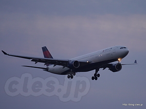 着陸態勢の DELTA 機 - 航空科学博物館から見る成田空港