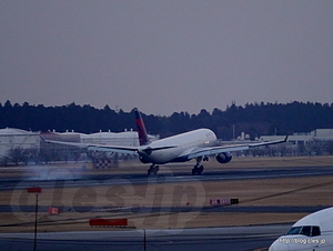 成田空港A滑走路に着陸する DELTA 機 - 航空科学博物館から見る成田空港