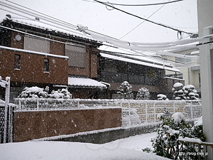 文京区の降雪 - 雪で大変でしたね