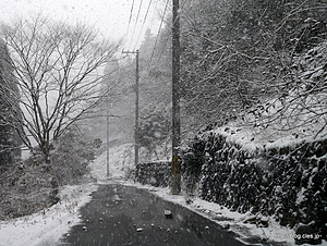 落石がゴロゴロ - 明延鉱山跡