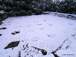  - 雪の安土城跡