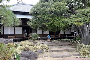 和館 - 旧岩崎邸庭園の桜