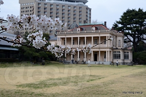 ソメイヨシノと洋館 - 旧岩崎邸庭園の桜