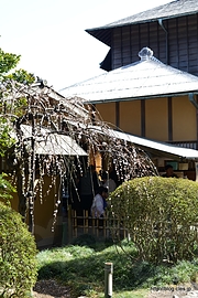 入り口 - 偕楽園 好文亭