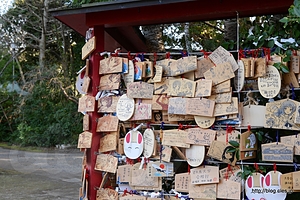 痛絵馬がいっぱい・・・ - 大洗磯前神社