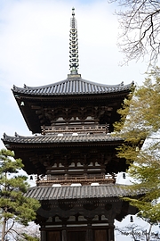 旧燈明寺三重塔 - 横浜 三溪園を散策