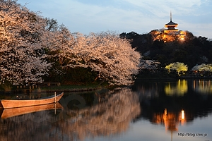 大池正門付近から旧燈明寺三重塔を望む（18時すぎ） - 横浜 三溪園 「観桜の夕べ」 2013 で夜桜を眺める