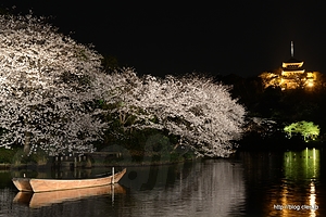 大池正門付近から旧燈明寺三重塔を望む（18時半すぎ） - 横浜 三溪園 「観桜の夕べ」 2013 で夜桜を眺める
