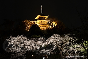 涵花亭から旧燈明寺三重塔を望む（夕暮れ後） - 横浜 三溪園 「観桜の夕べ」 2013 で夜桜を眺める