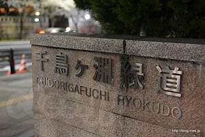 緑道入り口 - 千鳥ケ淵緑道から見る夜桜