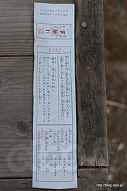 おみくじは大吉 - 鹿島神宮