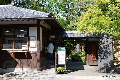 入口 - 向島百花園でさらに藤の花を見る