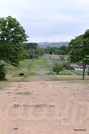 政庁～南門間道路 - 多賀城跡