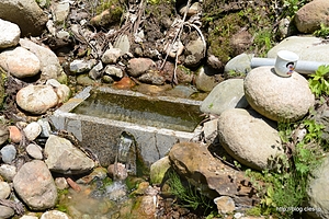湧水口 - さらに滝沢天然炭酸水を飲む