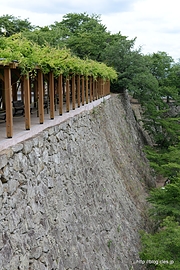 備中櫓からの眺め - 津山城跡を散策