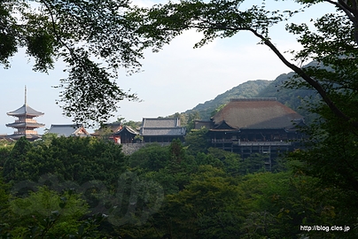 本堂と三重塔 - 音羽山 清水寺に朝の散策へ
