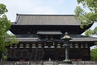 金堂 - 東寺と五重塔
