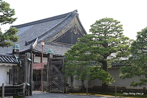 二の丸御殿 遠侍裏手 - 二条城を駆け足で巡る