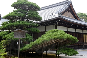 陸舟の松 - 金閣寺に一番乗り