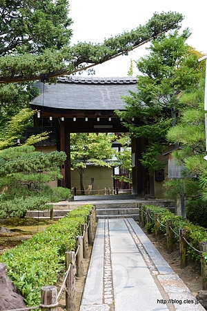 参道 - 大仙院の枯山水