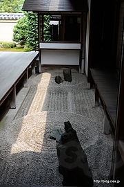 東滴壺 - 龍源院と方丈建築