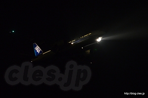 飛来する航空機 - 夜の城南島海浜公園から羽田を眺める