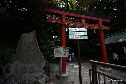 鶴岡八幡宮 本宮脇 - 鶴岡八幡宮で「凶」を引く