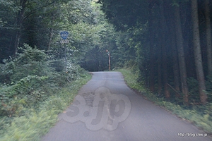 確かに道は狭い - 酷道490号線を行く