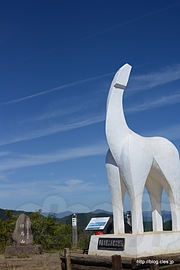 陣馬山 山頂 - 陣馬山縦走（陣馬高原下バス停～陣馬山）