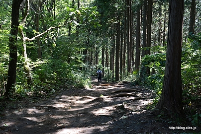 陣馬山の景信山方面口 - 陣馬山縦走（陣馬山～奈良子峠～明王峠～底沢峠～景信山）