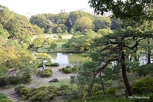 六義園 藤代峠からの眺め - 都立９庭園共通年間パスポートを買う