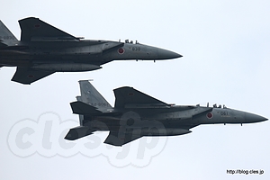 編隊飛行する F-15J（52-8061, 42-8838） - 入間航空祭 2013 に行ってきた（F-15Jから帰投）