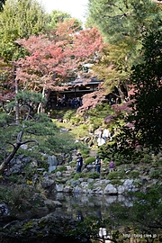 次郎弁天池から紅葉亭を見上げる - 殿ヶ谷戸庭園の紅葉