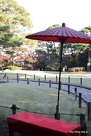 芝庭 - 殿ヶ谷戸庭園の紅葉