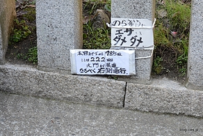本宮までは785段 - こんぴらさんの石段で運動不足を解消