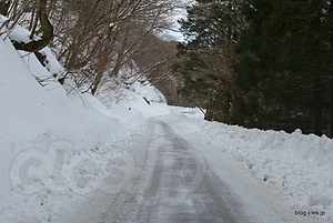 雪道 - 四国の山を侮る事なかれ