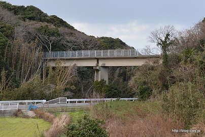 歩道として使われている - 幻の呼子線を求めて