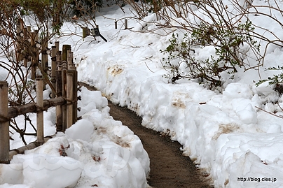 雪の残る園内 - 百草園の梅と吊し雛