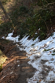 雪の残る登山道 - 雪の残る高尾山へ