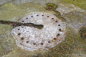 砲台跡 - フェリーで猿島に渡ってみた