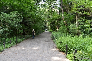 園内の様子 - 国立科学博物館 附属自然教育園で涼む