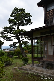庭側へ - 清閑亭で一休み