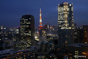 夜の東京タワー - 東京タワーの夜景を眺めながら、ゲーム大会！